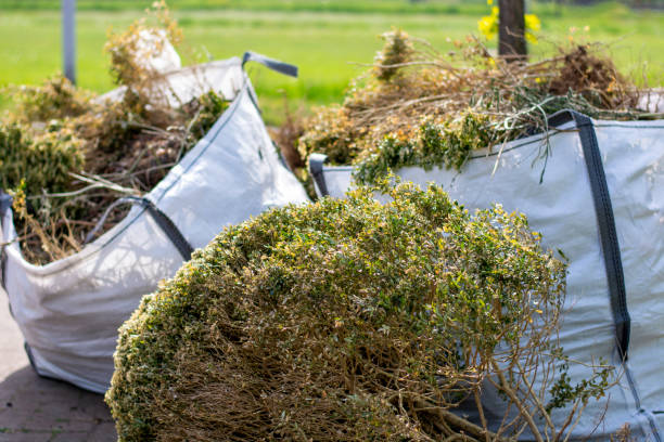 Basement Cleanout Services in Wild Peach Village, TX